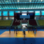 Aceflex-Aceflex Sports