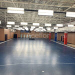 Aceflex-Aceflex Sports